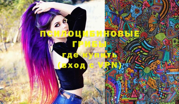 гидра Балахна
