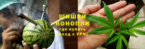 гидра Балахна